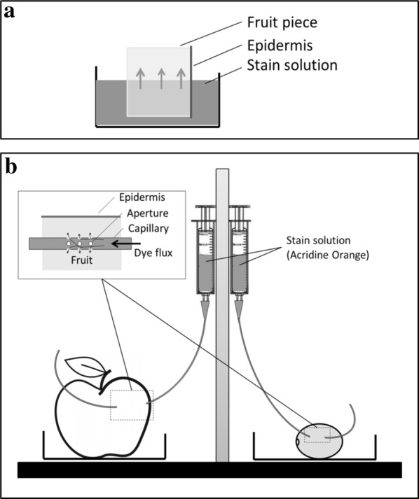 Fig. 1