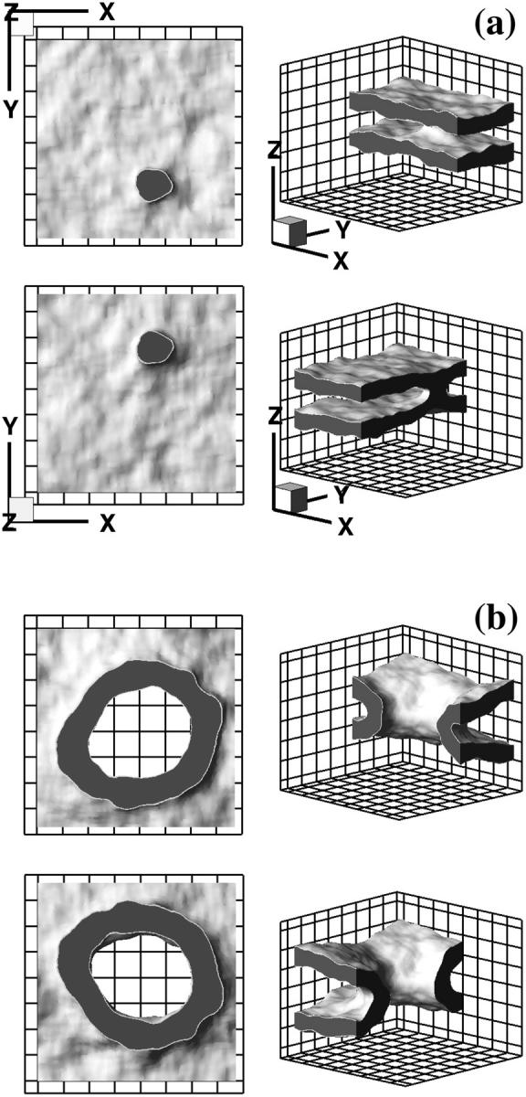 FIGURE 4