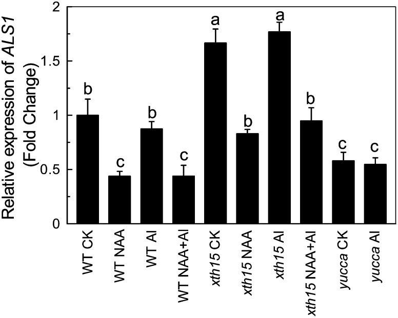 Figure 5.