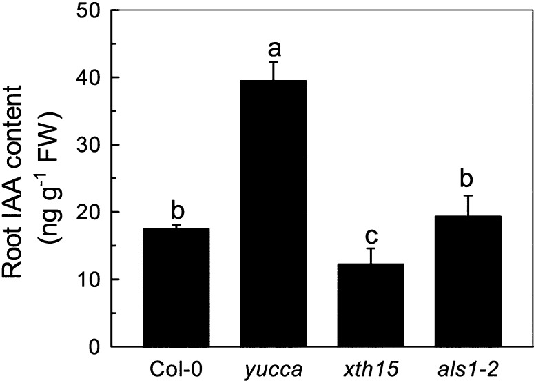 Figure 2.