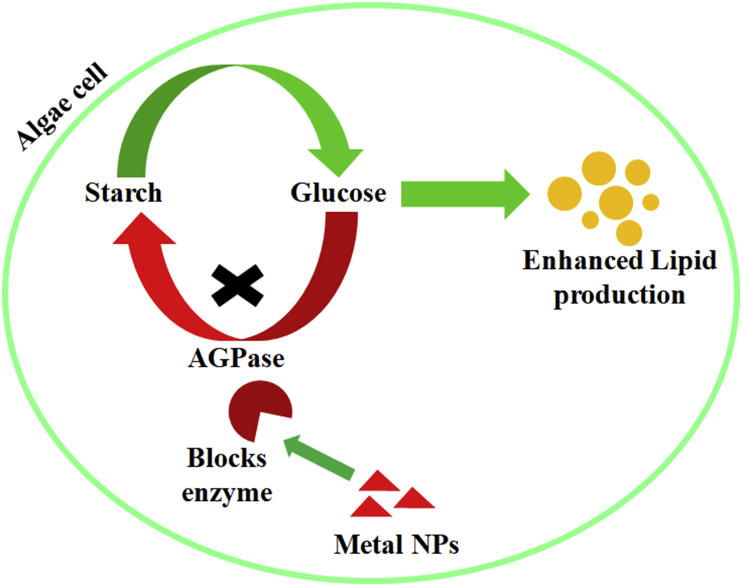 Figure 1