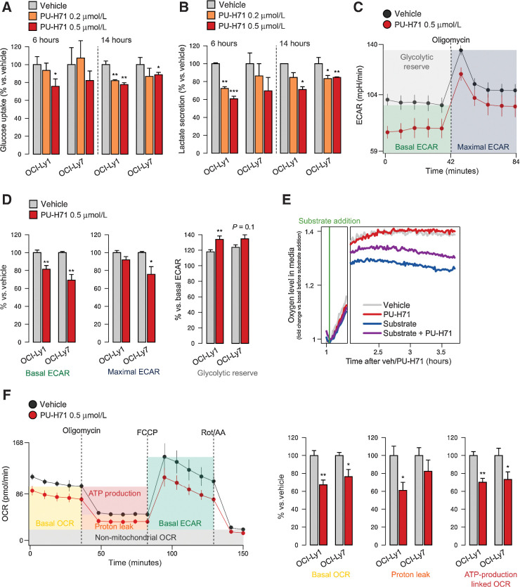 Figure 2. Oncogenic HSP90 inhibition decreases nutrient utilization. A and B, Glucose uptake (A) and lactate excretion (B) in OCI-Ly1 and OCI-Ly7 cells treated with vehicle, PU-H71 (0.2 μmol/L), and PU-H71 (0.5 μmol/L) for 6 and 14 hours. Data are normalized to vehicle-treated cells. C, ECAR of OCI-Ly1 cells treated with vehicle or PU-H71 at baseline and upon oligomycin treatment to estimate the maximal ECAR. Error bars, SD of 10 replicate wells. Representative experiment of triplicates is shown. D, Mean basal ECAR, maximal ECAR, and glycolytic reserve capacity in OCI-Ly1 and OCI-Ly7 cells treated with vehicle or PU-H71, normalized to vehicle. E, Mitochondrial respiration as determined by real-time measurement of oxygen levels in the tissue culture medium of OCI-Ly1 cells in absence of glutamine (substrate) with vehicle or PU-H71, and presence of glutamine with vehicle or PU-H71. Representative experiment of triplicates is shown. F, OCR of OCI-Ly1 cells treated with vehicle or PU-H71 at baseline upon oligomycin treatment to determine proton leak and OCR-linked ATP production, upon FCCP to estimate maximal OCR, and upon rotenone/antimycin-A (Rot/AA) to estimate non-mitochondrial OCR. Right, mean basal OCR, proton leak, and ATP production linked to OCR in OCI-Ly1 and OCI-Ly7 cells treated with vehicle or PU-H71. In all panels, unless stated differently, error bars are SEM of three independent experiments. P values were calculated by t test. n.s., not significant; *, P < 0.05; **, P < 0.01.