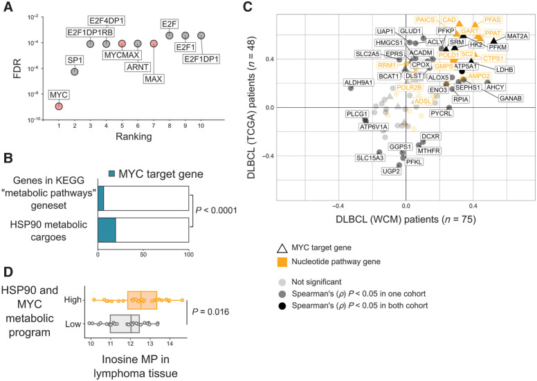 Figure 5. The oncogenic HSP90 metabolic interactome supports the MYC metabolic program in DLBCL. A, Ranking of transcription factors regulating the oncogenic HSP90 metabolic interactome in DLBCL according to the presence of canonical binding sites on their promoter regions. Statistical significance was established by FDR. B, Oncogenic HSP90 metabolic interactome components presenting MYC binding sites in promoters compared with the universe of metabolic genes from the KEGG database containing MYC binding sites. Statistical enrichment was established by Fisher exact test. C, Spearman rank correlation (ρ) plots comparing the expression of MYC versus the expression of genes from the oncogenic HSP90 metabolic interactome. Correlations were conducted in two independent DLBCL patients’ cohorts composed of 48 TCGA cases (y-axis) and 75 WCM cases (x-axis). Canonical MYC target genes are depicted with triangles. Genes from the nucleotide's pathway are shown in yellow. Darker shading indicates significant (P < 0.05) correlations found in both cohorts. D, Whole tissue levels of inosine 5′-monophosphate (by HPLC-MS) in 54 DLBCL biopsies classified as high (n = 27) vs. low (n = 27) expression of the MYC metabolic program supported by oncogenic HSP90 determined by gene expression (RNA sequencing) correlation as in C.