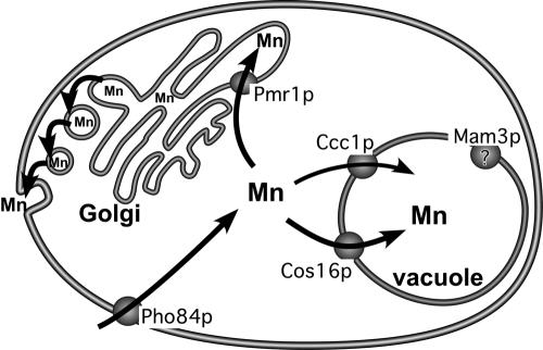 FIG. 3.