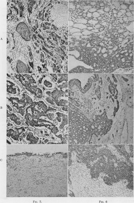 Fig. 5., Fig. 6.