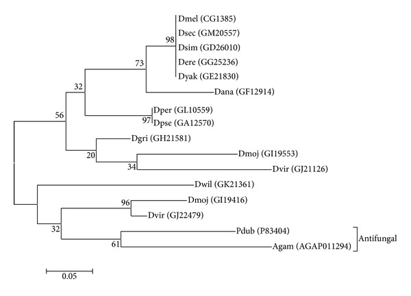 Figure 5