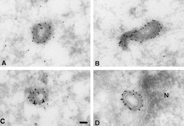 FIG. 8