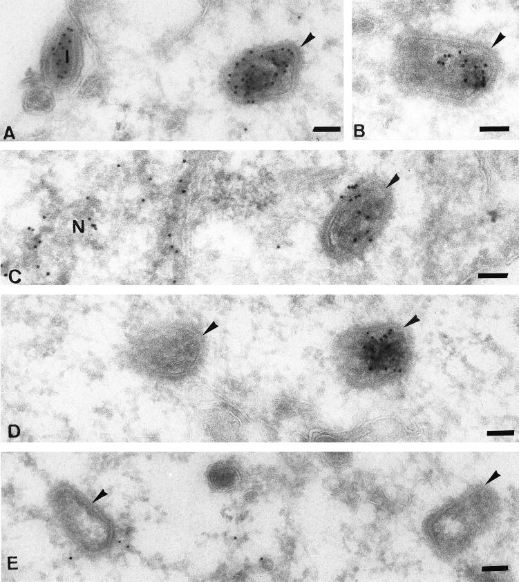 FIG. 10