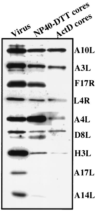 FIG. 5