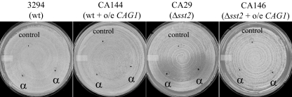 FIG. 6.