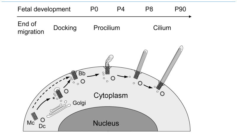 Figure 14