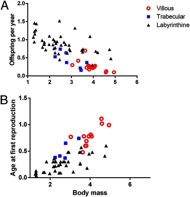 Fig. 3.