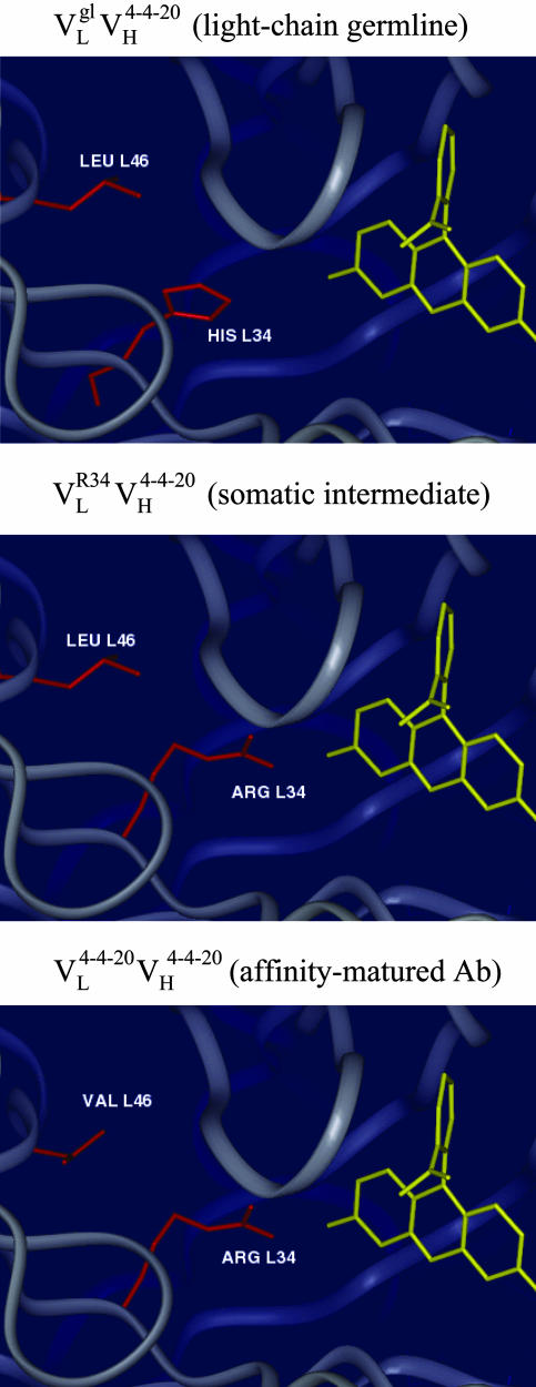 Fig. 3.