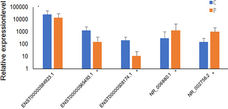 Figure 4