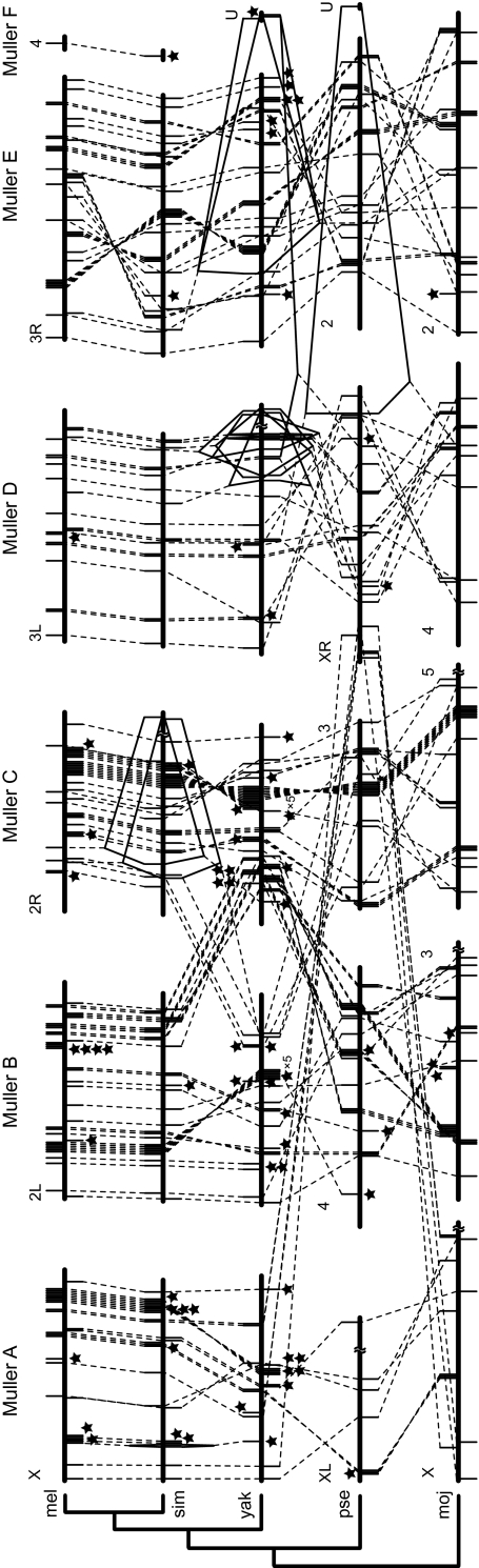 FIG. 3.—