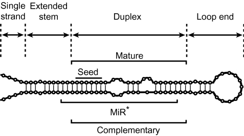 FIG. 1.—