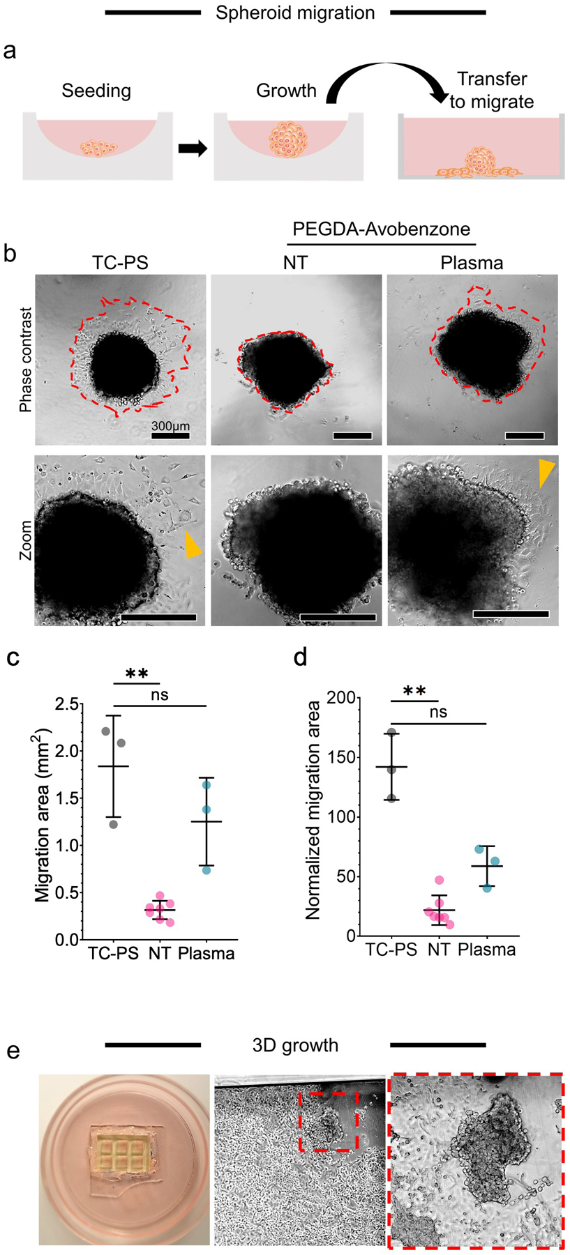 Figure 5: