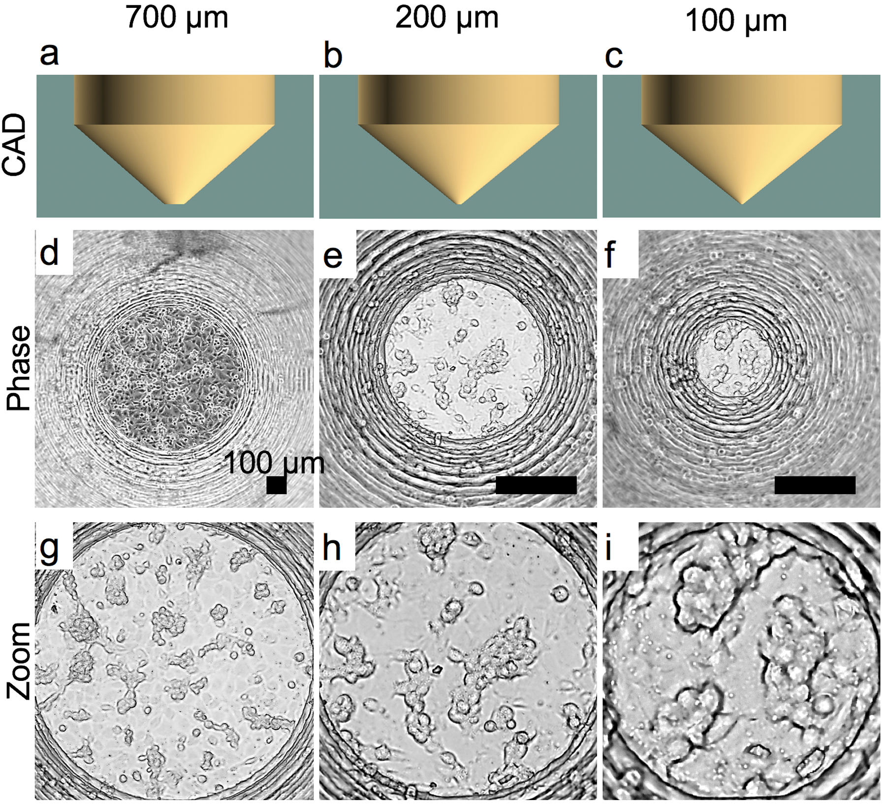 Figure 6: