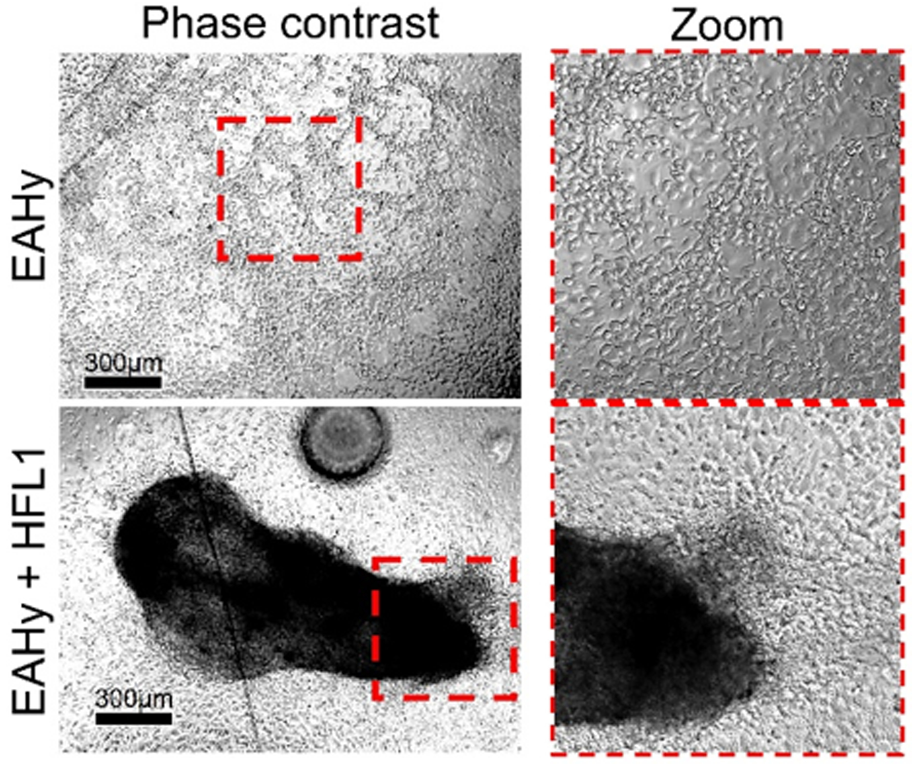 Figure 7: