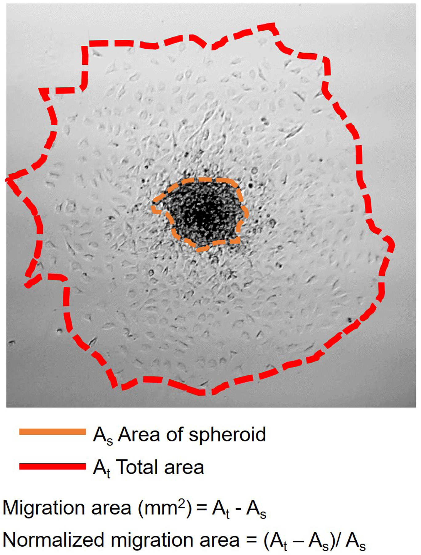 Figure 2: