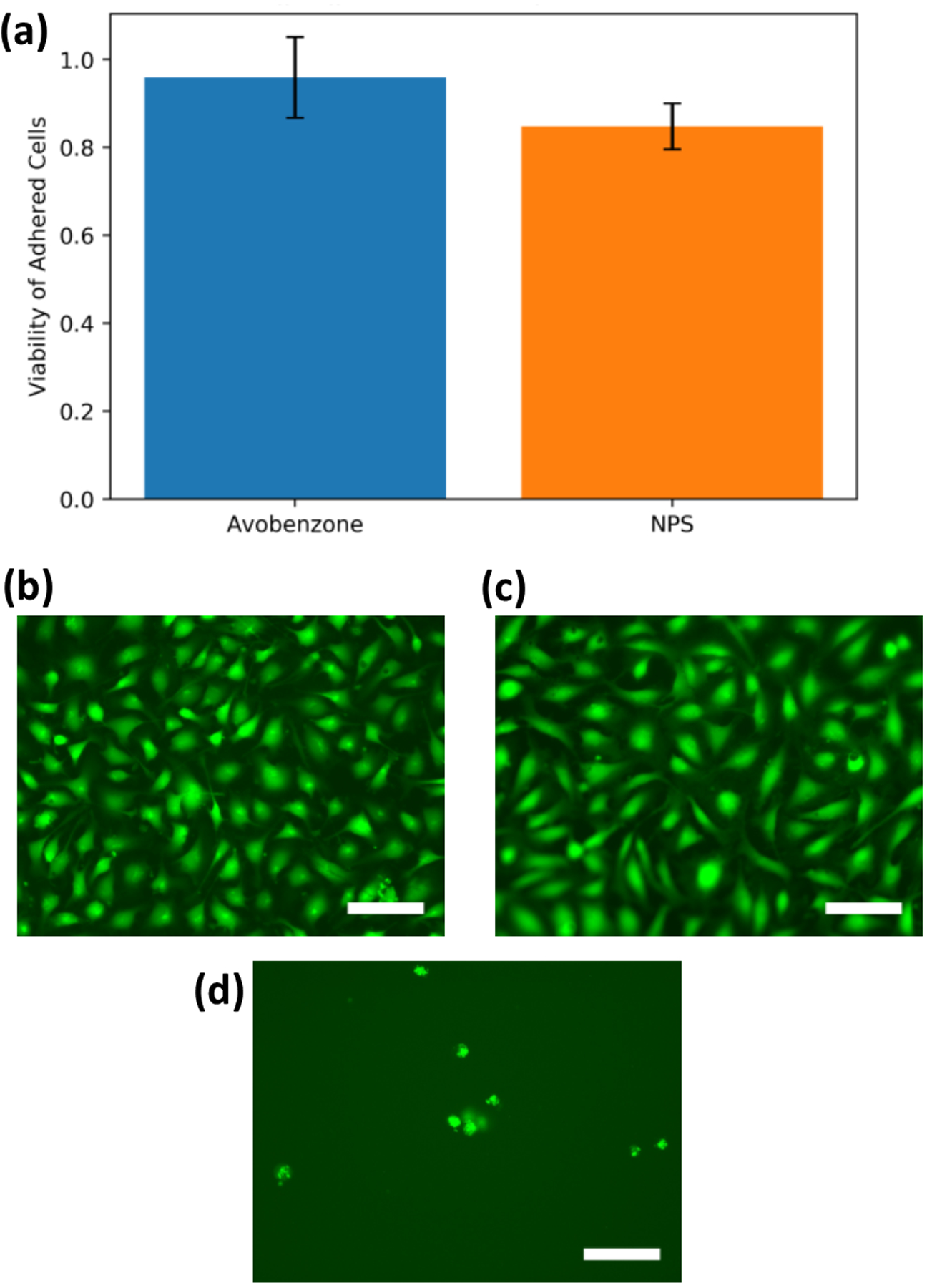 Figure 4: