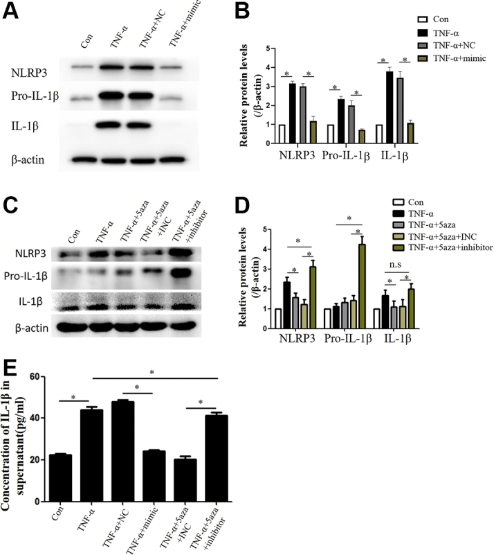 Figure 6