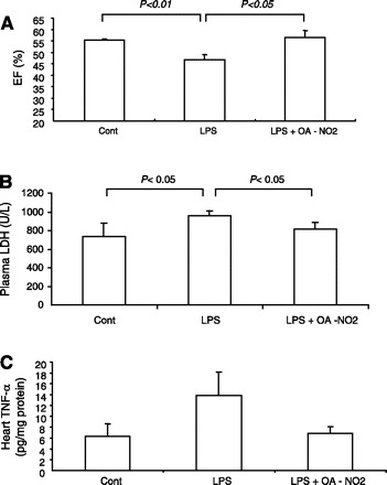 Fig. 9.