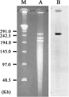 FIG 1