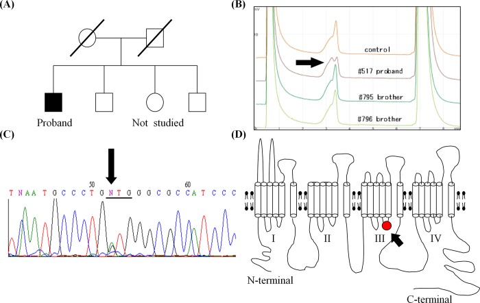 Fig 3