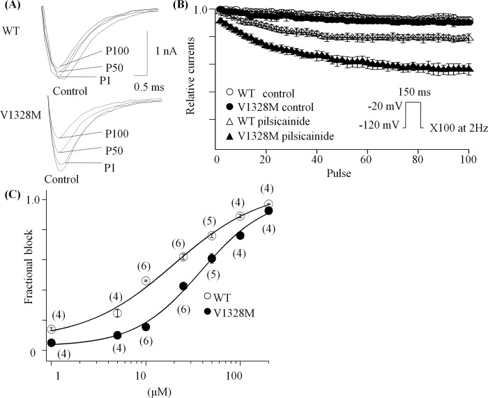 Fig 6