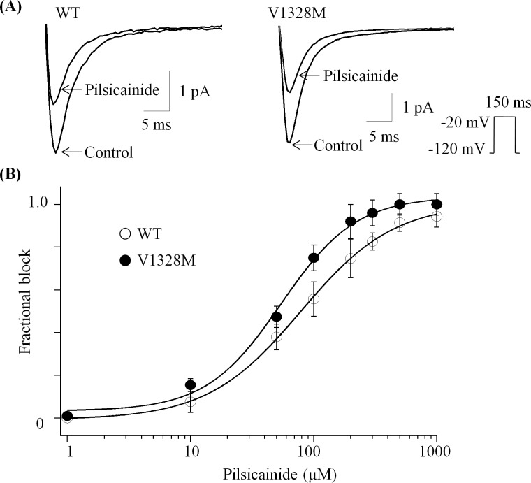 Fig 5