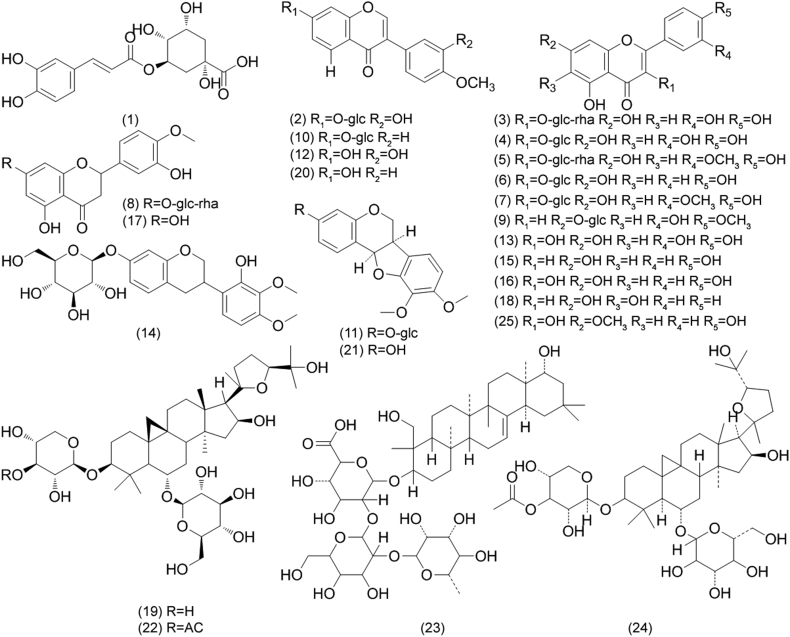 Fig. 1