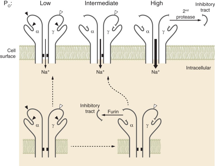 Fig. 2.