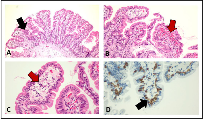 Figure 4