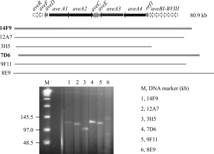 Fig. 2