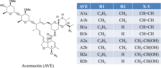 Fig. 1