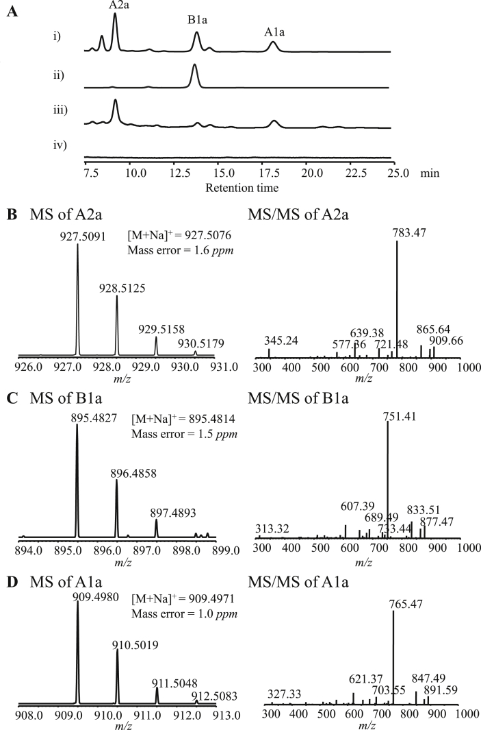 Fig. 4