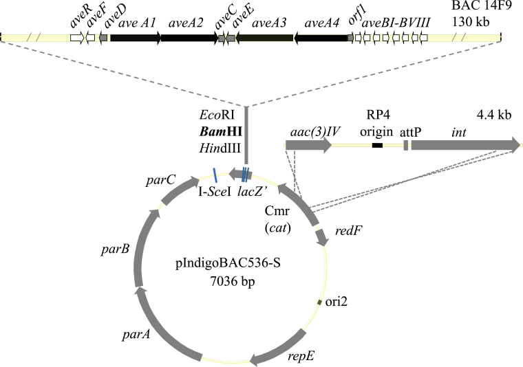 Fig. 3