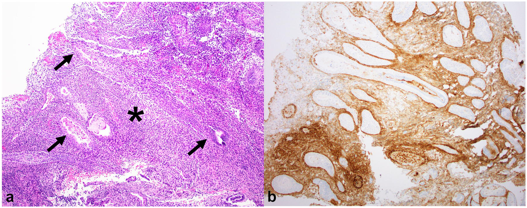 Fig. 9