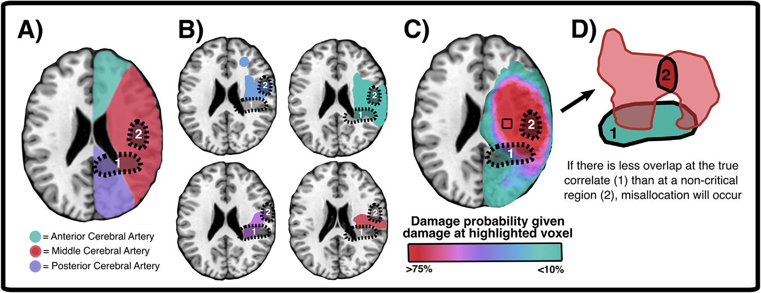 Fig. 2 –