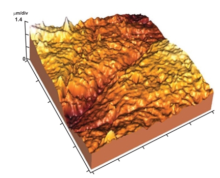 Fig. (9)