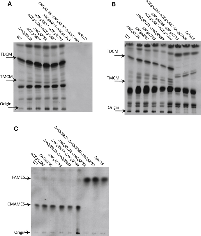 Figure 6