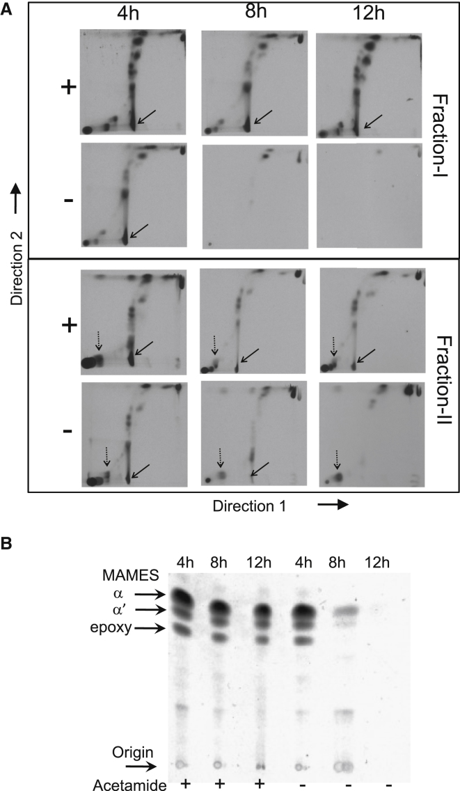 Figure 4