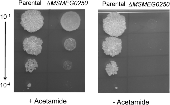 Figure 3