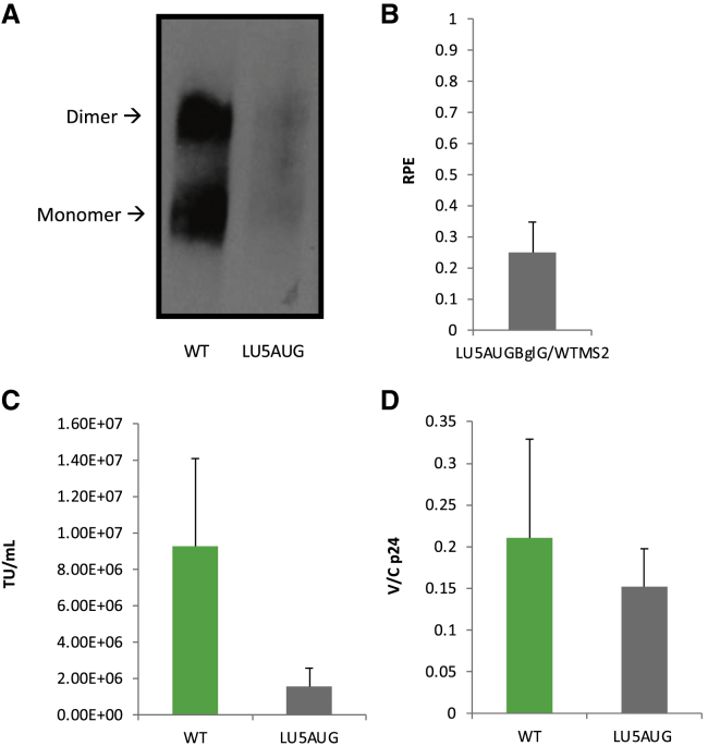 Figure 6