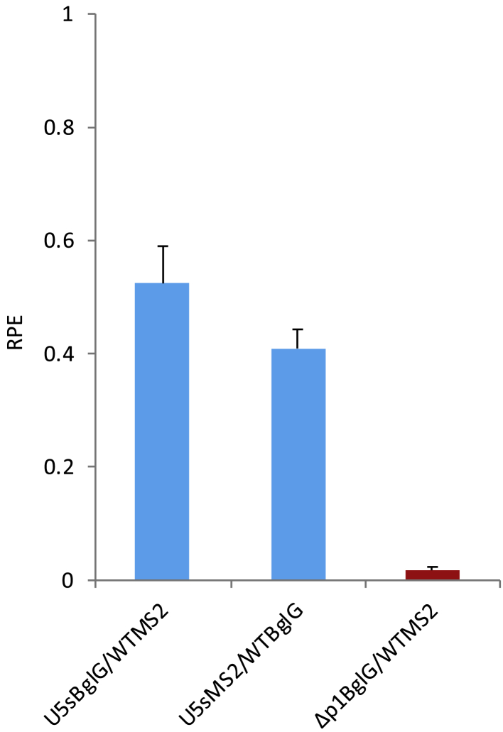 Figure 5