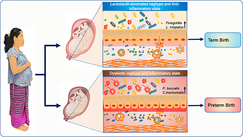 Graphical Abstract