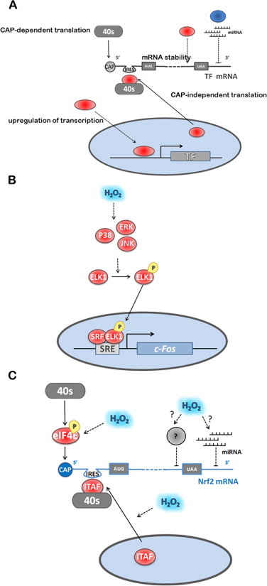 Fig 5