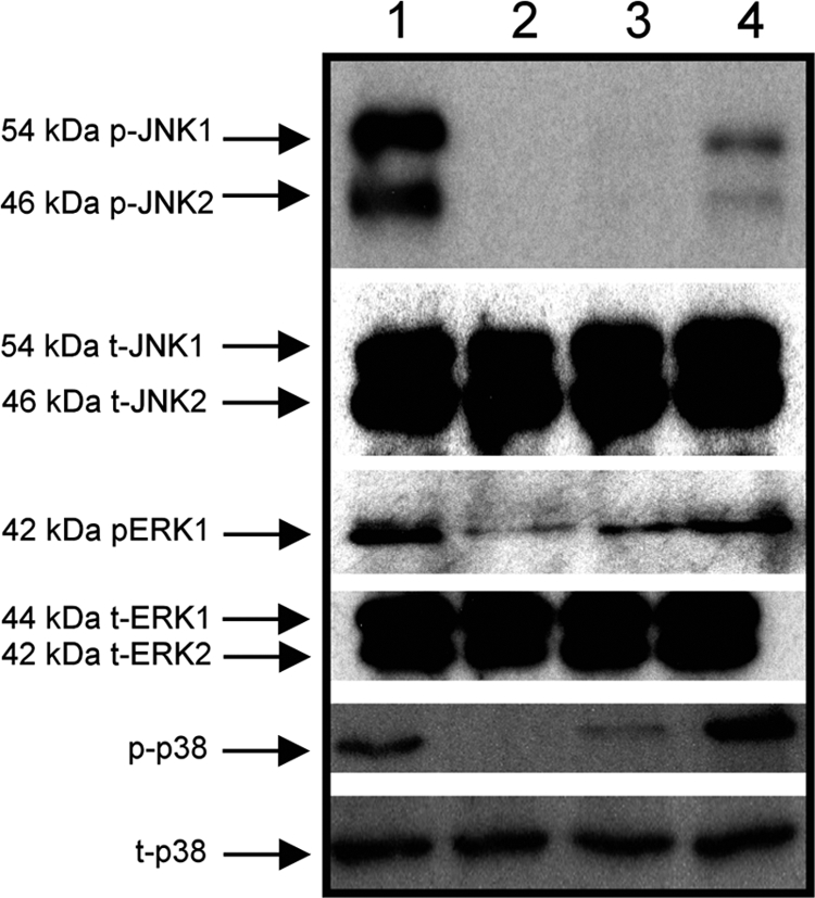 FIG. 7.