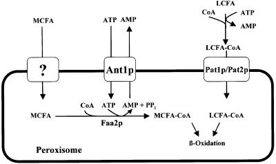 graphic file with name cde514f8.jpg